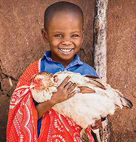 2-Hens-and-a-Rooster2_5070eff0-6f38-4d85-b495-be612f351da2_1024x1024